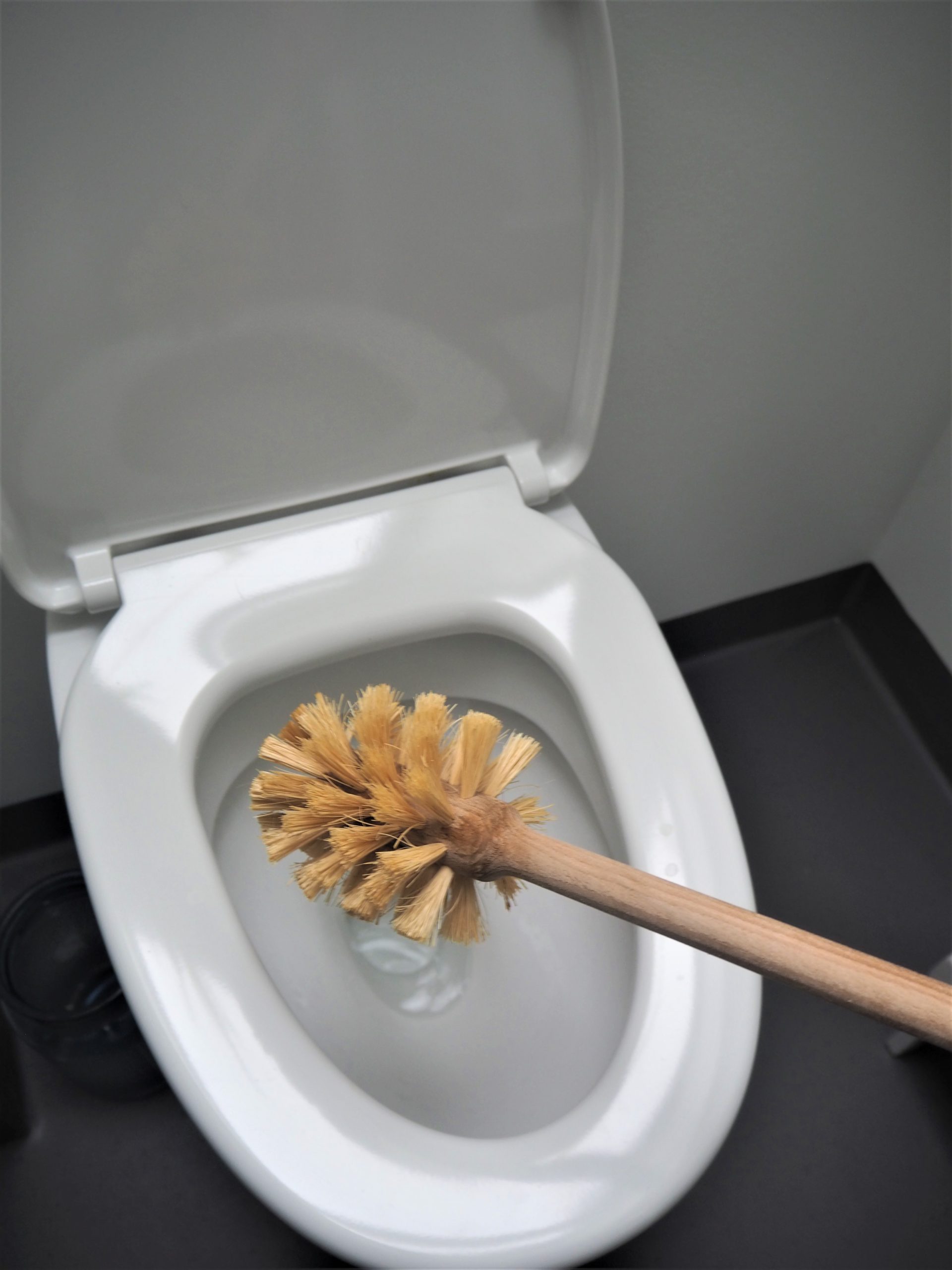 Bambustoiletbørste i toilet