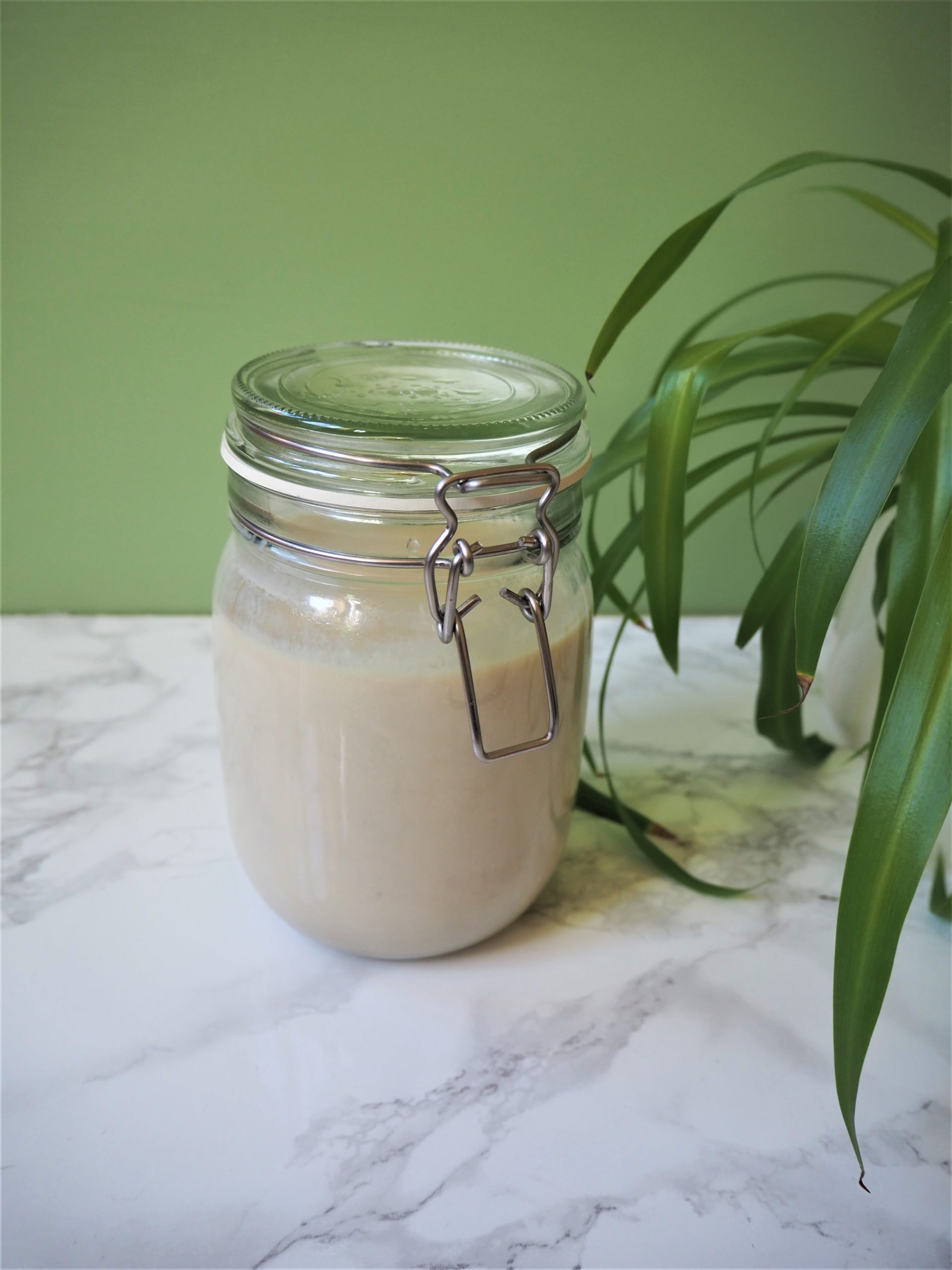 Patentglas med hjemmelavet soyayoghurt