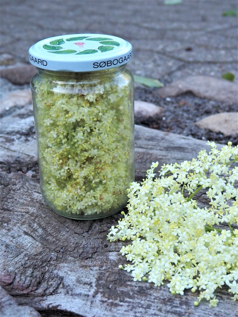 Hyldeblomster i glas