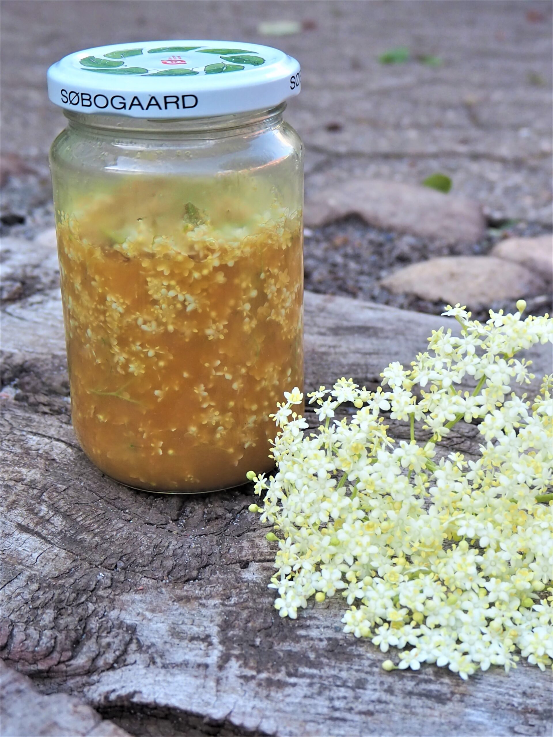 Honningfermenterede hyldeblomster