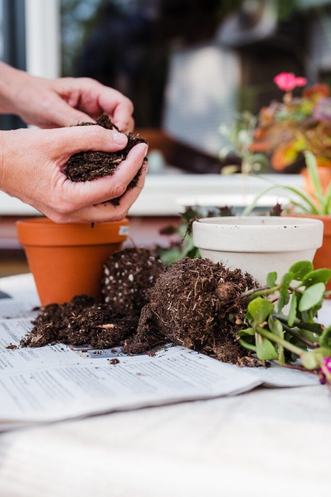 Krukker og planter